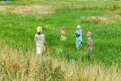 5-Art-on-Schokland-2019-Dichter-op-het-land-Drenkelingen-3