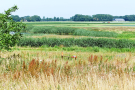 6-Art-on-Schokland-2019-Dichter-op-het-land-tredmolen-1