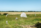7-Art-on-Schokland-2019-Dichter-op-het-land-textielkwallen-1