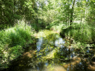 Cycling the Somme - tributary stream