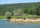 eroded banks near ham sur meuse