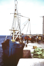 Ireland-1980-Inis-Meain-What-good-would-a-car-be-on-Inishmaan