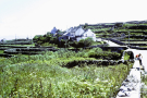 Ireland-1980-Life-on-Inis-Meain-Inishmaan-young lovers