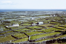 Ireland-1980-Life-on-Inis-Meain-Inishmaan-fields-towards-the-sea