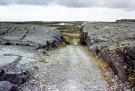 Ireland-1980-Stones-on-Inis-Meain-Inishmaan-land-side-of-the-cliffs-2