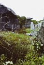 Ireland-1980-Stones-on-Inis-Meain-Inishmaan-land-side-of-the-cliffs-4