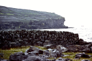 Ireland-1980-Stones-on-Inis-Meain-Inishmaan-the-cliffs-2