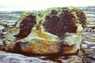 Ireland-1980-Stones-on-Inis-Meain-Inishmaan-volcanic-boulder