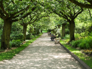 valloires abbey and garden - garden idyllic lane with chess players