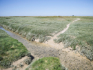 france 2022 pointe du hourdel a touch of salt marshes