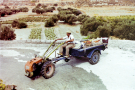 milos 1988 - around adamantas - farmer with his products