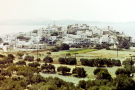 milos 1988 - around adamantas - view of adamantas with olive trees and retsina vineyard