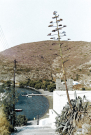 milos 1988 adamantas - steps towards the bay