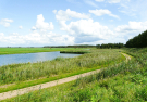 the dutch serengetti (oostvaardersplassen) - arrival