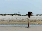 ameland-june-2021-after-the-beach-cleaning