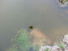 ameland-june-2021-an-eddy-on-the-marshes-at-high-tide