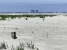 ameland-june-2021-gas-rig-east-as-seen-from-the-hon