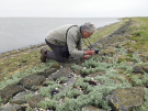 ameland-june-2021-my-kind-of-holiday
