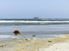 ameland-june-2021-someone-got-around-his-cleaning-chores