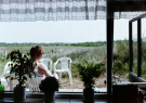 Our first visit to Wadden island Ameland (june 1993) - Rita on the terrace viewed from inside