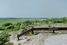 Our first visit to Wadden island Ameland (june 1993) -  The Zwanenwaterstuifdijk