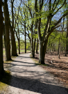 amsterdam water supply dunes 2022 old lane
