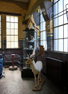 amsterdam water supply dunes 2022 old pumping station interior 3