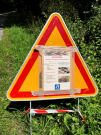 axe vert - autreppes to beaurain - warning for oak procession caterpillars
