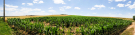 axe vert - autreppes to beaurain - the open landscape to the south of the thierache