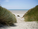 france 2022 - bay of the authie - last look at the sea