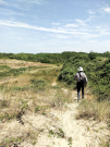 france 2022 - bay of the authie - a walking photographer