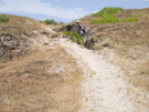 france 2022 - bay of the authie - a cut-through in the dunes