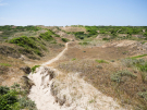 france 2022 - bay of the authie - path through the dunes area