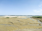 france 2022 - bay of the authie - the sands 3