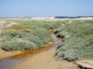 france 2022 - bay of the authie - the sands 1