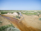 france 2022 - bay of the authie - the sands 2