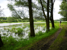 start of the path - higher water level