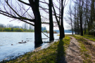 start of the path - high water level
