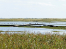 springtide on ameland - september 2022 - bridge in the salt marshes at springtide