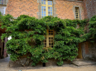 carrouges castle orne 13 - court view detail