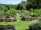 circuit-de-juvigny-sous-andaine-9-tour-de-bonvouloir-medical-garden