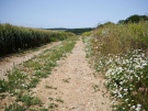 circuit-hucqueliers-preures-4 pastoral path
