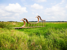 art on the former island of schokland 2021 - dichter op het water - golfpaarden 1