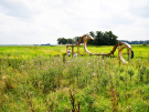 art on the former island of schokland 2021 - dichter op het water - golfpaarden 3