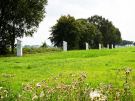 art on the former island of schokland 2021 - dichter op het water - koppenkastjes 1