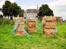 art on the former island of schokland 2021 - dichter op het water - dnahooibalen