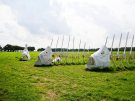 art on the former island of schokland 2021 - dichter op het water - vissenophetdroge 1