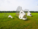 art on the former island of schokland 2021 - dichter op het water - vissenophetdroge 5 art