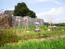 art on the former island of schokland 2021 - dichter op het water - zeevolutie 1