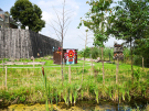 art on the former island of schokland 2021 - dichter op het water - zeevolutie 2